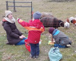 IMG-20230212-WA0007